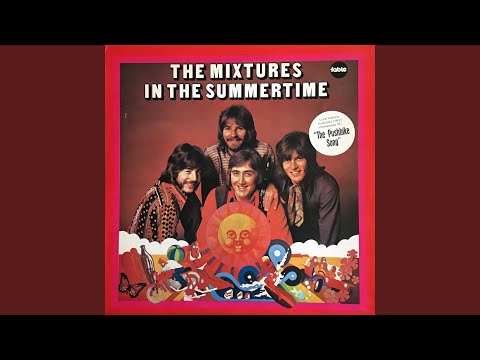 The Mixtures  - In the Summertime
